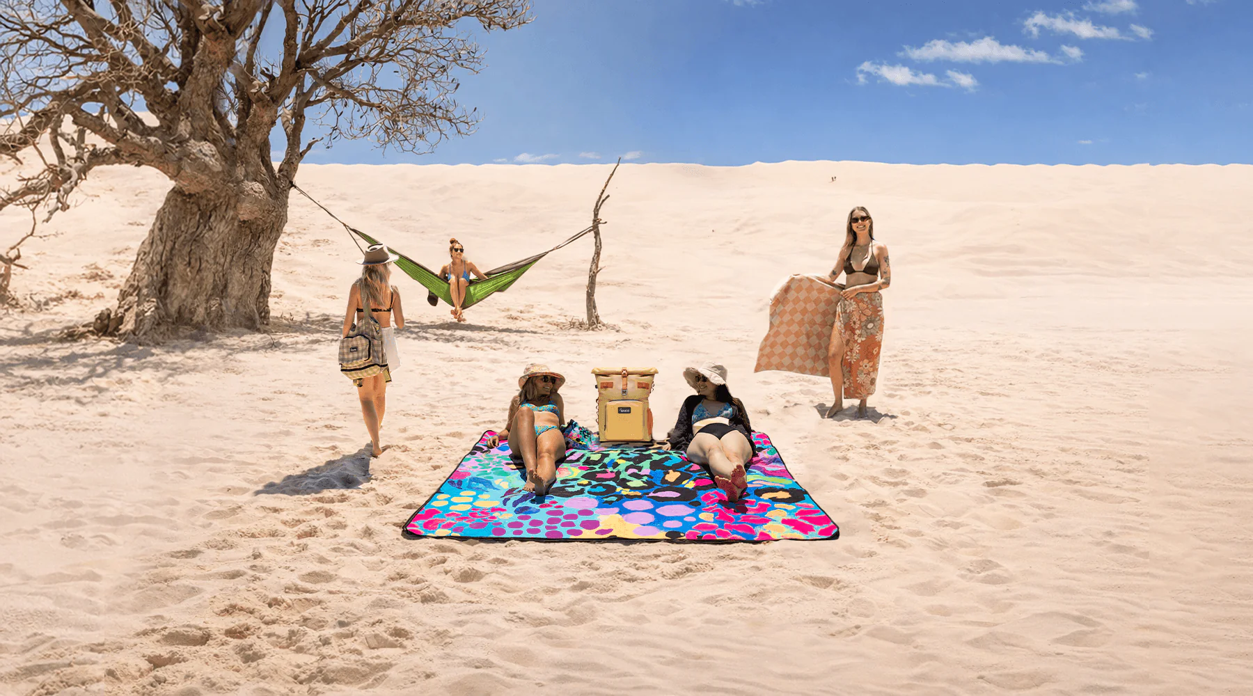 Recycled Comfort, Naturally Wild